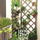 Căn hộ chung cư: Cho thuê Căn hộ IDICO Tân Phú như hình, 2PN 2WC full Nội Thất g