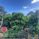 Bán đất nông, lâm nghiệp: Bán ĐẤT HẺM 23 HOÀNG VĂN THÁI, P Hoa Lư, Pleiku Gia La