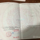 Bán đất nông, lâm nghiệp: Chính chủ bán hơn 1,1hecta nông lên nền 300m2 Tóc Tiên