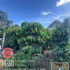 Bán đất nông, lâm nghiệp: ĐẤT HẺM 23 HOÀNG VĂN THÁI - Phường Pleiku - Gia Lai