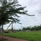 Bán đất nền dự án: "Chốt Velora hôm nay – Giá tăng ngày mai!"