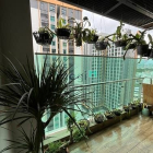 Căn hộ chung cư: Cho thuê CH Cao cấp Delasol 3PN ,View sông, nội thất hiện đại: 