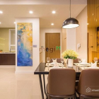 Căn hộ chung cư: Cho thuê căn hộ Richstar, DT 65m2, 2PN, Full NT, giá 12tr/tháng