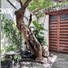 Nhà hàng - Khách sạn: Căn Hộ 1Phòng Ngủ Bancony Máy Giặt Riêng Gần Nhà Văn Hóa P