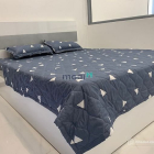 Nhà hàng - Khách sạn: Chính chủ cho thuê căn hộ 1 phòng ngủ riêng biệt 50m2 tại 