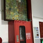 Phòng trọ: Ở ghép cách BV Chợ Rẫy, ĐH Y Dược, Kinh Tế, Hùng Vương chỉ 5 phút đi 