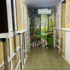 Phòng trọ: Cho thuê Ký Túc Xá riêng tư Phạm Văn Chiêu Gò Vấp, chỉ 1tr5 trọn gói