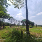 Nhà Kho - Xưởng: Cho thuê đất trống* 2.150m2 - 5.450m2 gần Bưng Ông Thoàn, Phú H