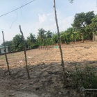 Nhà Kho - Xưởng: * Cho thuê đất*2000m2 gần đường Nguyễn Duy Trinh, Trường Thạnh,