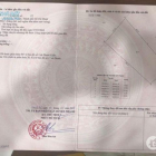 1400m2 đất CLN giá hạt dẻ 6tr/m2 MT Phạm Hữu Lầu , Phước Kiển , Nhà Bè