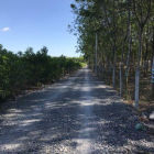 Bán 1,2ha đất Tân Hiệp, Long Thành, sân bay quốc tế, chỉ với 2,5 triệu/m2