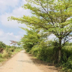 Bán đất dự án thời báo kinh tế, phú hữu, q9, giá hấp dẫn đầu tư