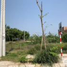 * KĐT khối 5 thị trấn Vĩnh Điện-Điện Bàn-Quảng Nam