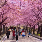 Sở hữu ngay căn hộ cao cấp Dát vàng 24K bọc quanh tòa nhà giá chỉ từ 3 tỷ/căn