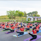 Đại lễ mở bán lớn nhất tại dự án Biệt thự sinh thái The Phoenix Garden mặt đường