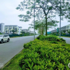 Bán Nhà Liền Kề, ShopHouse - Dự Án BelHomes Từ Sơn - Vsip Từ Sơn