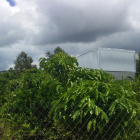 eiw ven Hồ quy họach Phạm Ngọc Thạch  Bảo Lộc, Lâm Đồng,28x 22.5m. Nở hậu.