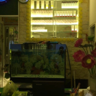 Nhà 3 lầu Nguyễn Duy Dương P4 Quận 10 HXH giá 7.49 tỷ.