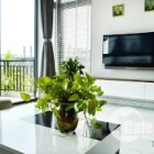 Bán gấp biệt thự vườn góc 2mt, 8,8x20 SHR Hóc Môn