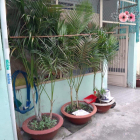 Hót!! Bán nhà  đẹp đường 79 PL B, DT 55m2/ giá 2,9 tỷ