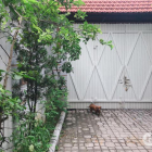 Cho thuê nhà riêng 200m2 tại Xuân Đỉnh, ngõ 4m ôtô vào nhà, giá 22 triệu/tháng