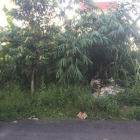 Bán nền biệt thự khu dân cư An Thới, Bình Thủy, Cần Thơ - 3.55 tỷ