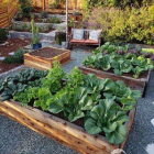 Chính chủ đầu tư dự án Đất Đỏ mt L.dài cam kết giá rẻ nhất thị trường.