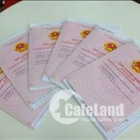 Giaỉ pháp giúp cho cánh mài râu chứng tỏ mình là trụ cột gia đình!!!