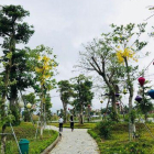 Bán biệt thự vip khu đô thị chuẩn sống xanh