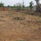 ĐẤT TRỤC ĐƯỜNG DT 769, DÂN ĐÔNG, LIỀN KỀ KCN DẦU GIÂY