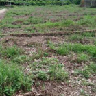 cơ hội cho công nhân muốn mua đất xây nhà giá rẻ