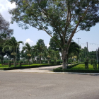 BÁN ĐẤT NỀN KHU DÂN CƯ NGÂN THUẬN, PHƯỜNG BÌNH THUỶ, QUẬN BÌNH THUỶ, TP CẦN THƠ