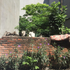 Bán đất mặt phố Trần Bình, Mai Dịch, Cầu Giấy kinh doanh sầm uất