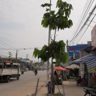 ĐẤT 283 m2, mặt tiền đường Nguyễn Thị Minh Khai, TX. Dĩ An, giá 9 tỷ 750tr