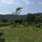 Cần bán gấp lô đất tại Lương Sơn, Hòa Bình, với giá 720 nghìn/m2