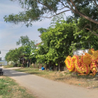 Đất KQH Hạ Cồn Trống - Phú Thượng. DT100m2 - đường QH 11.5m