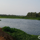 Hè này, cty Kim Phong Land phân phối độc quyền giỏ hàng GemRiver City.