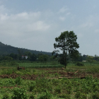 Cần bán gấp lô đất view đẹp tại Khoang Xanh, Ba Vì, giá 150 triệu/sào