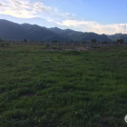 Đất Trang Trại Thuận Minh, Hàm Thuận Bắc, Bình Thuận