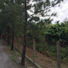 Chú Tư cần bán vườn trái cây đang cho quả mặt tiền Sông Lu xã Trung An Củ Chi