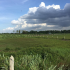 Đất vườn đường Sông Lu giá chỉ 650ngàn/m2 xã Trung An Củ Chi