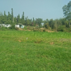 500 TRIỆU/LÔ ĐẤT VƯỜN XÃ THÁI MỸ (CÂY TRÔM-MỸ KHÁNH) 500M2,SHR.