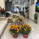 Chính chủ bán nhà 3 lầu mặt tiền Phó Đức Chính, quận Bình Thạnh