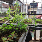 BÁN NHÀ PHỐ NGUYỄN KHOÁI, Ô TÔ ĐỖ CỬA, DT 52m2, MT 4,3M, GIÁ 6,9 TỶ