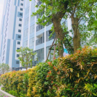 Mua căn hộ cao cấp chỉ với thu nhập 20t/tháng? Căn hộ cao cấp Imperia Sky Garden hoàn toàn đáp ứng được điều đó!!!