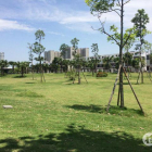 Sở hữu nhà liền kề nam 32 chỉ từ 3,5 tỷ/căn, nhanh tay mua ngay trước khi tăng giá