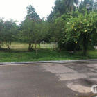 Flamingo Đại Lải Resort: Chính chủ cần bán Bán lô đất 349m2, 21tr/m2. Lh 0946872786