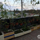 bán gấp nhà linh đông, 1 triệt 2 lầu 3 phòng trọ đường 32 linh đông quận thủ đức