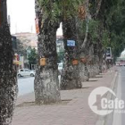 CHo thuê mặt tiền đường Láng, 70m x6 tầng, 70tr/th