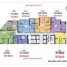 Bán gấp suất ngoại giao căn 05 và 02 tầng trung Luxury Park Views view công viên